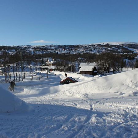 Bergfosshytta Ron Exterior foto