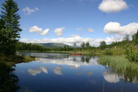 Bergfosshytta Ron Exterior foto